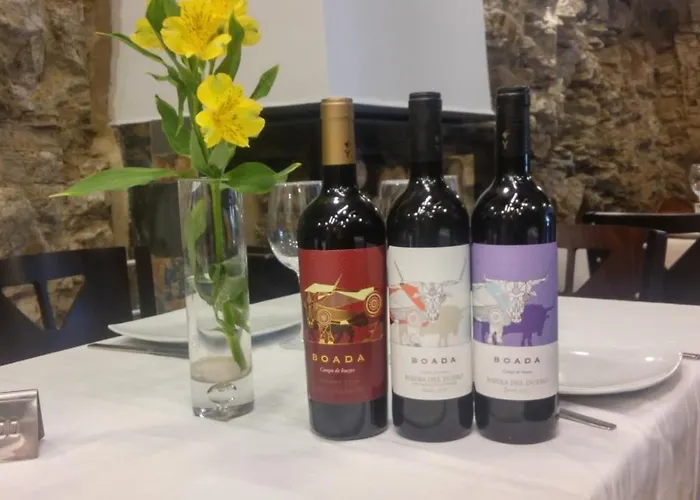 & Boada Con Jardin Interior Y Barbacoa Pensionat Villamiel